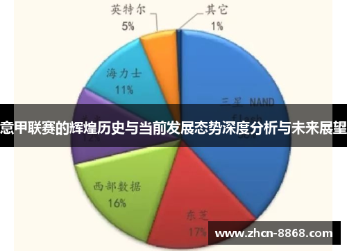 意甲联赛的辉煌历史与当前发展态势深度分析与未来展望