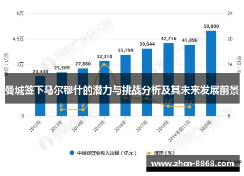 曼城签下马尔穆什的潜力与挑战分析及其未来发展前景