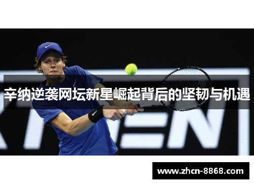 辛纳逆袭网坛新星崛起背后的坚韧与机遇